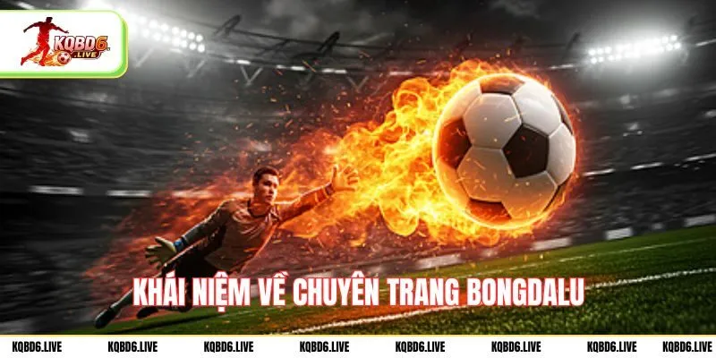 Khái niệm về chuyên trang bongdaso