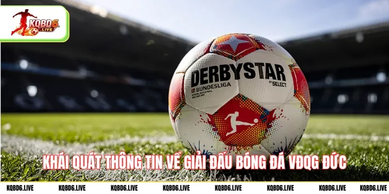 Khái quát thông tin về giải đấu bóng đá VĐQG Đức