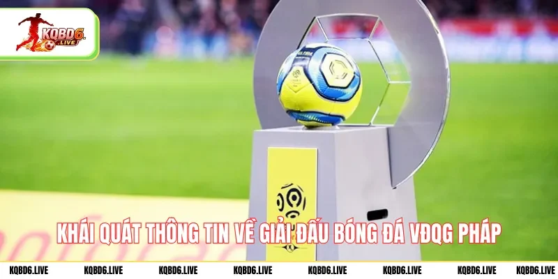 Khái quát thông tin về giải đấu bóng đá VĐQG Pháp