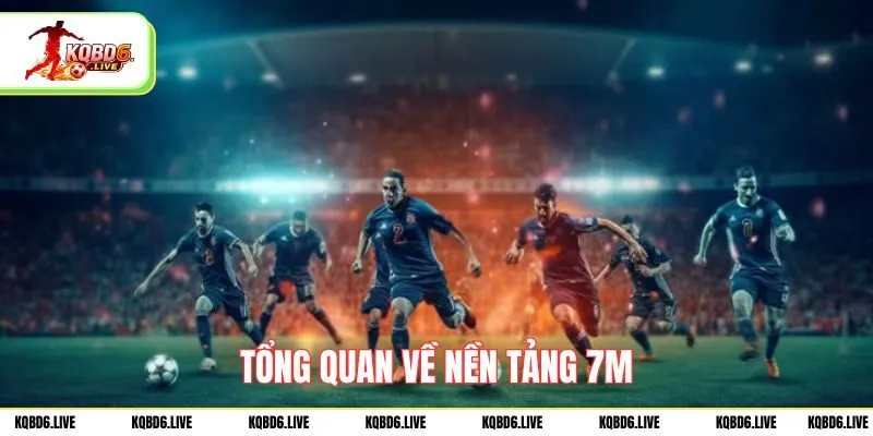 Tổng quan về nền tảng 7M