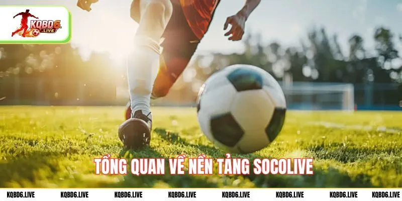 Tổng quan về nền tảng socolive