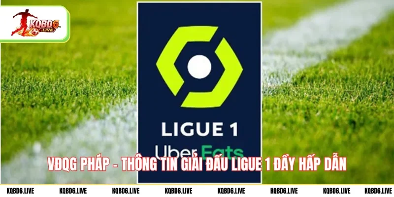 vdqg-phap-thong-tin-giai-dau-ligue-1-day-hap-dan