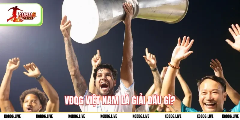 VĐQG Việt Nam là giải đấu gì?